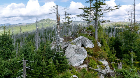 Der Böhmerwald – eine Wildnis mitten in Europa, Bild 22